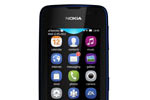 Asha 311